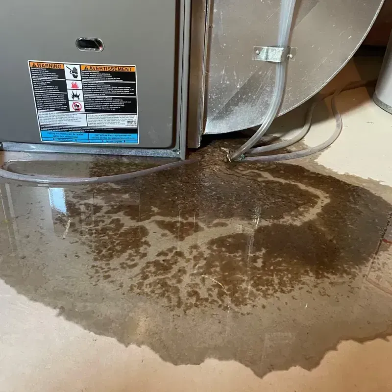 Appliance Leak Cleanup in Amboy, WA